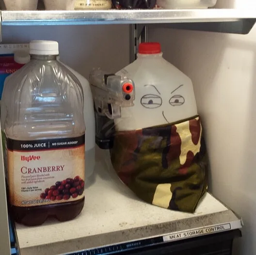 Image credit: Reddit | xXenemyunknownXx