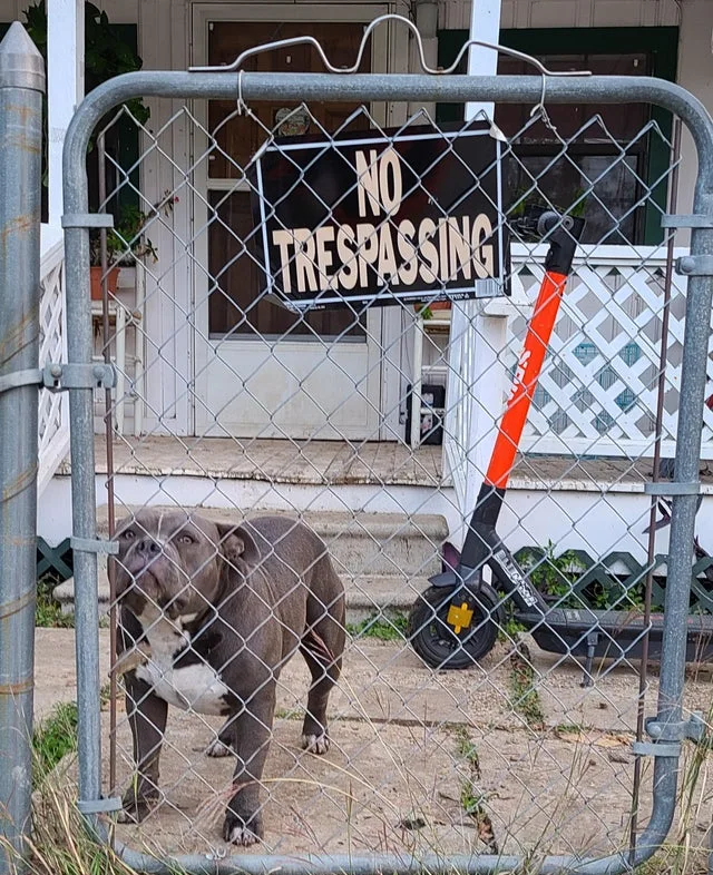 Image credit: Reddit | hash4kash