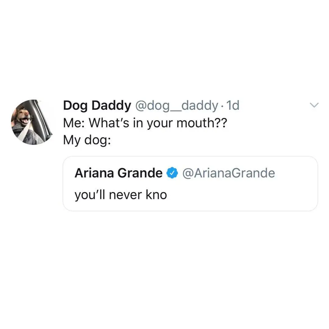 Image credit: Twitter | @dog_daddy