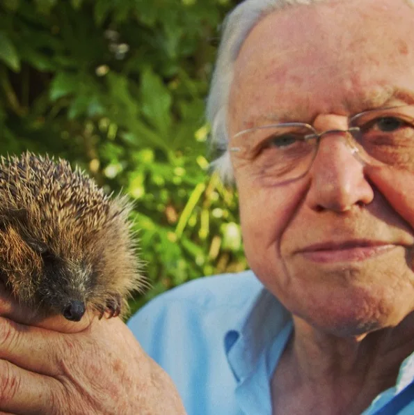 Image credit: Instagram | david_attenborough