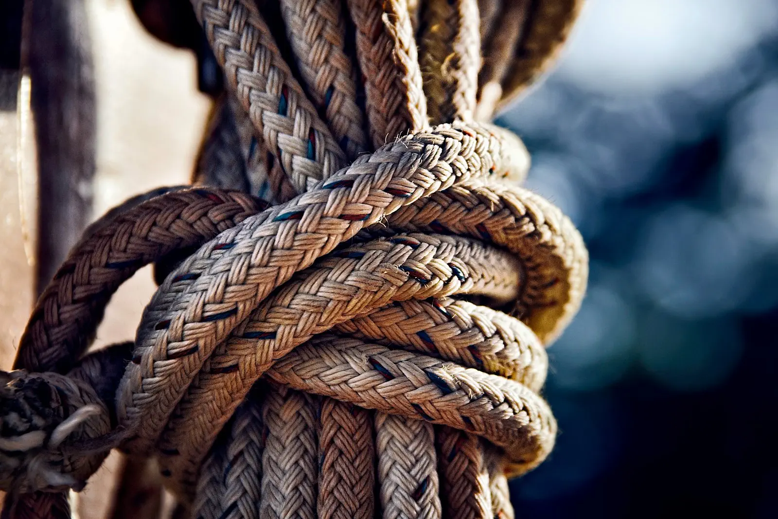 Image credit: Unsplash | Robert Zunikoff