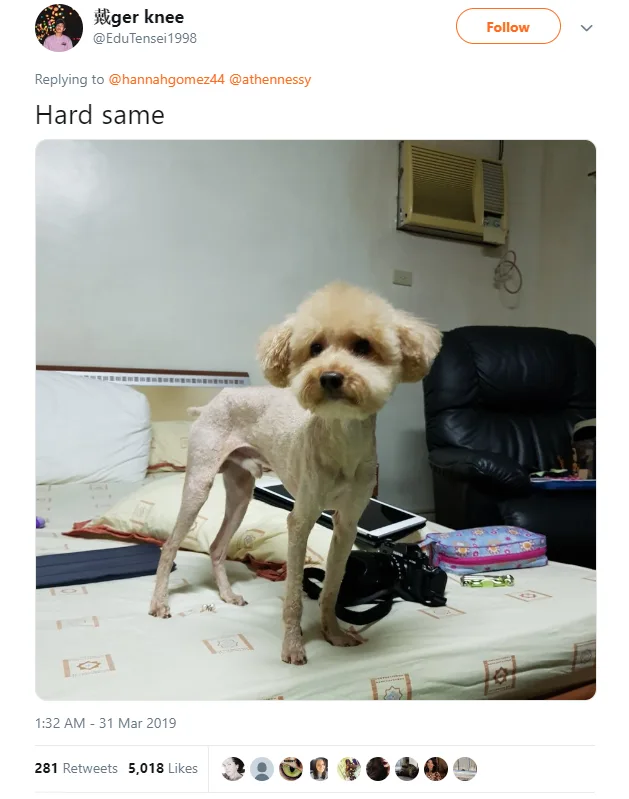 Image credit: Twitter | @EduTensei1998