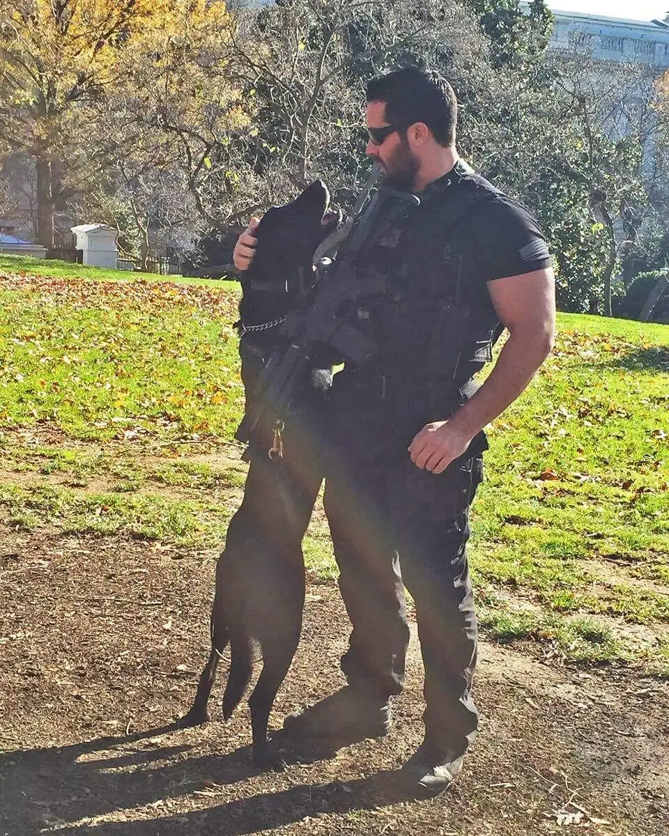 Image credit: Instagram | @k9hurricane