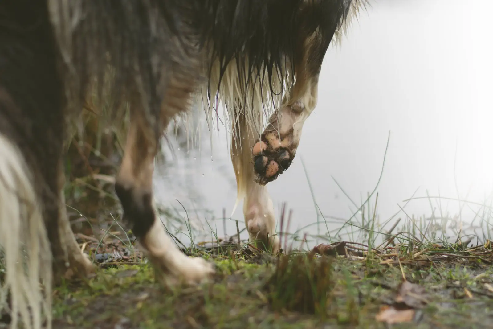 Image credit: Unsplash | Ayla Verschueren