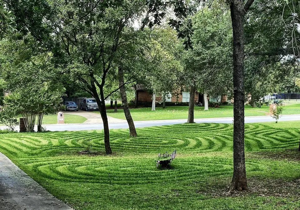Image credit: Reddit | heyheyhedgehog