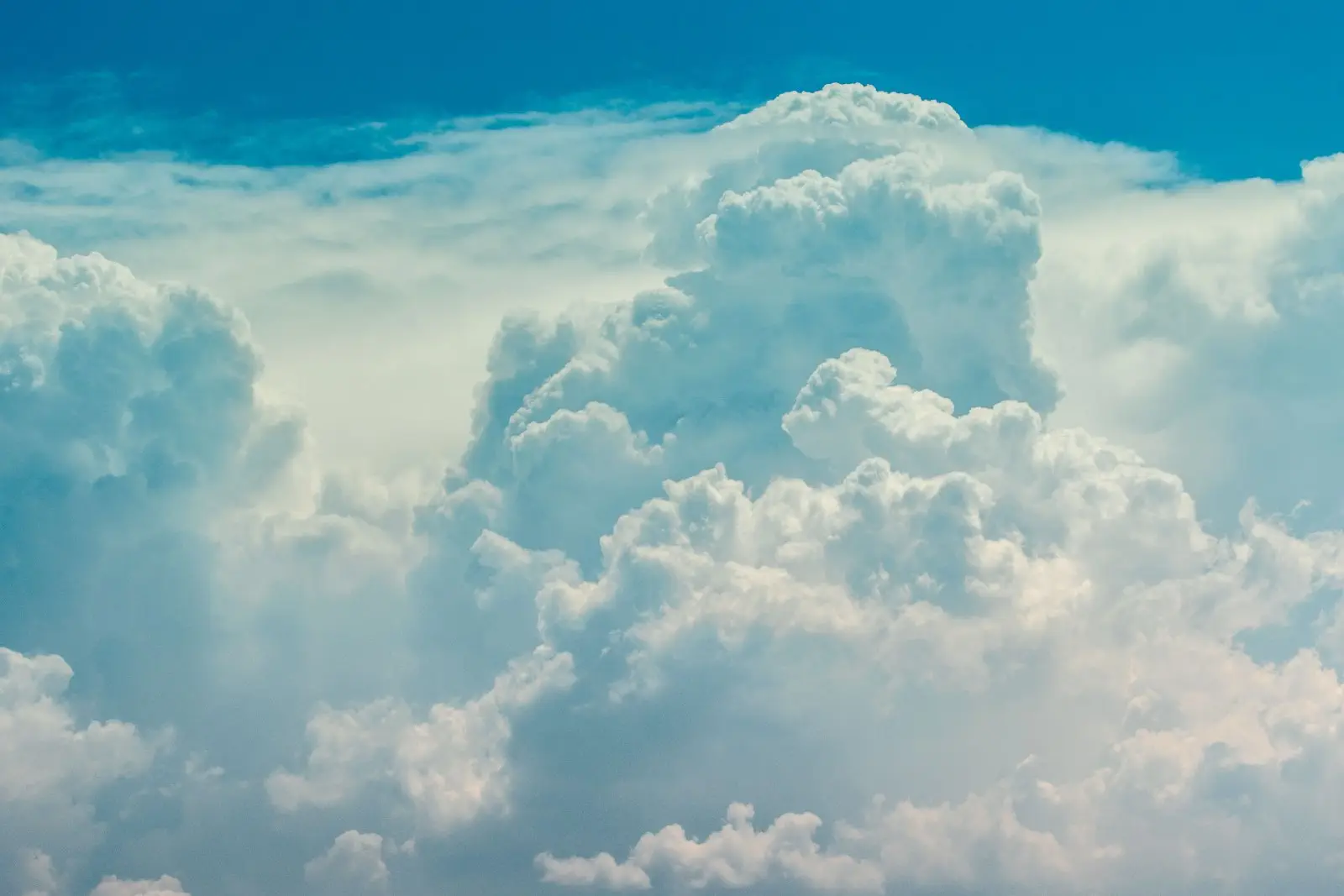 Image credit: Unsplash | Jason Blackeye