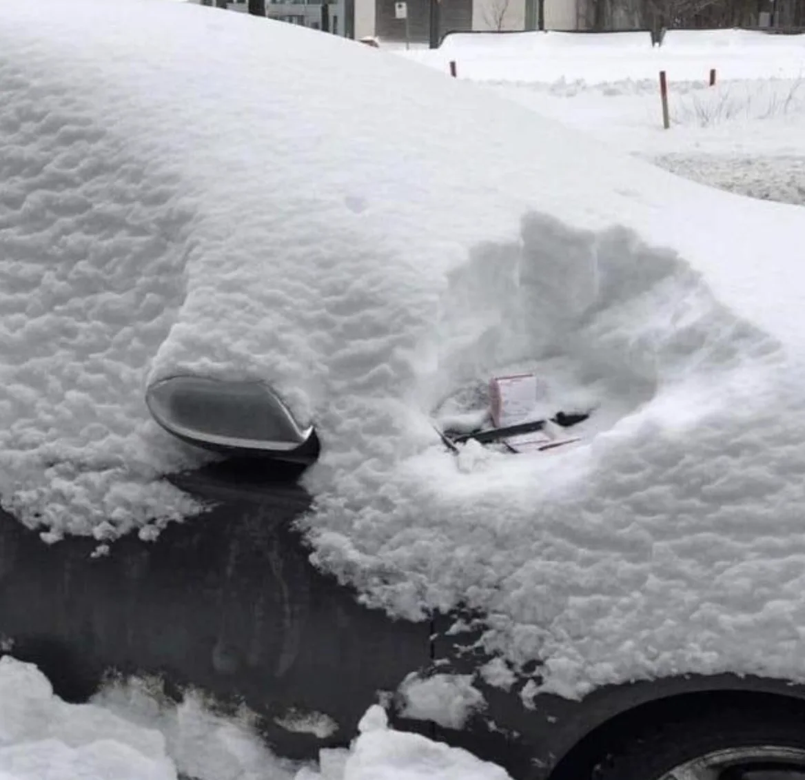 Image credit: Reddit | Chemoot