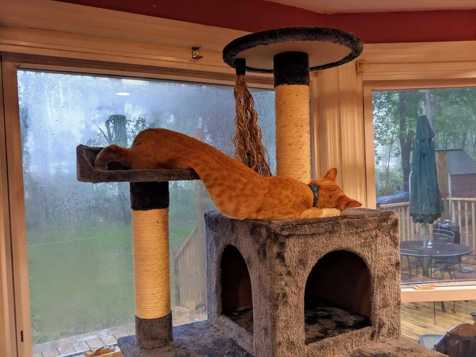 Image credit: Reddit | stuckurface