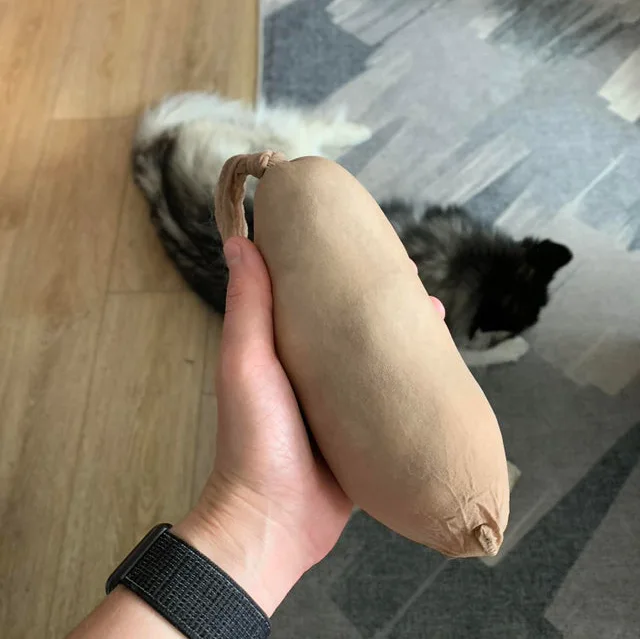 Image credit: Reddit | u/coveredindoghair