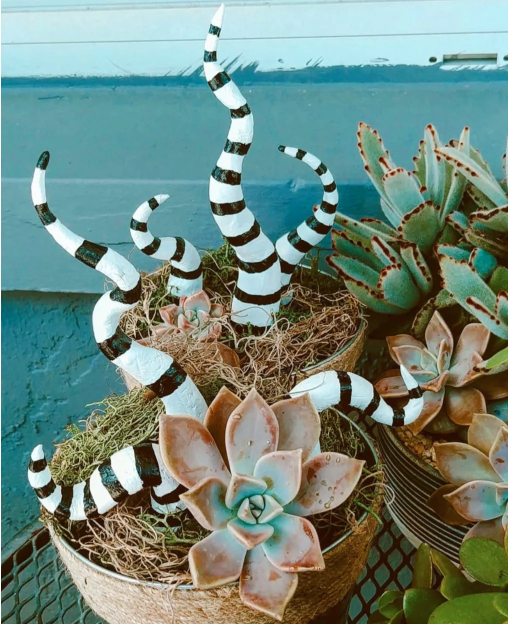 Image credit: Etsy | artbybayley