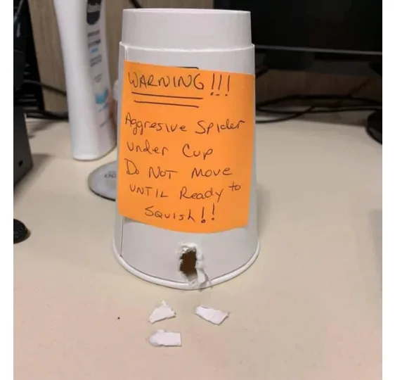Image credit: Reddit | lil_gingerale