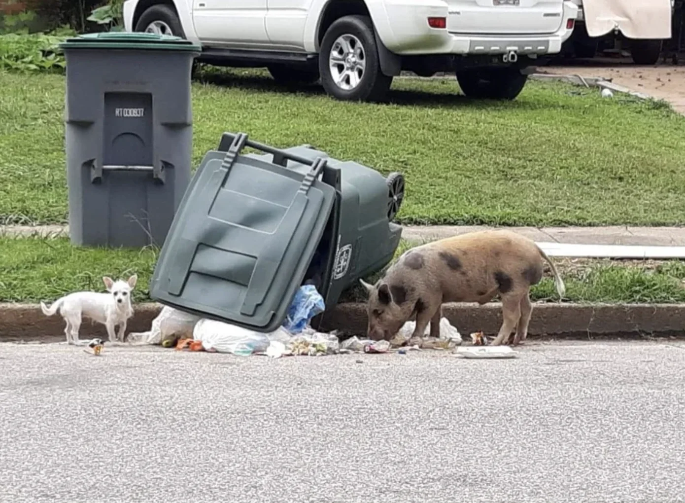 Image credit: Reddit