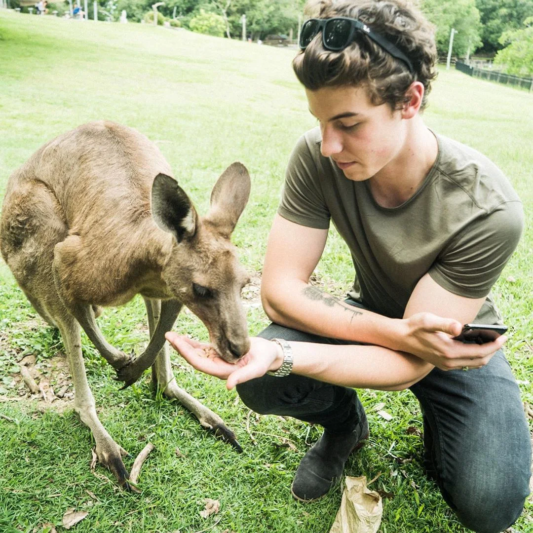 Image credit: Instagram | @shawnmendes