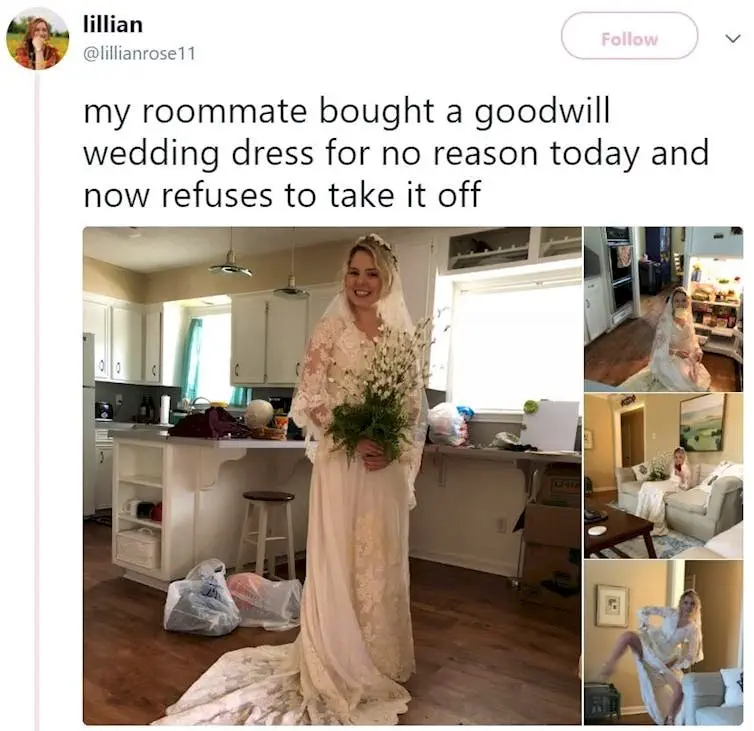 Image credit: Twitter | @lillianrose11