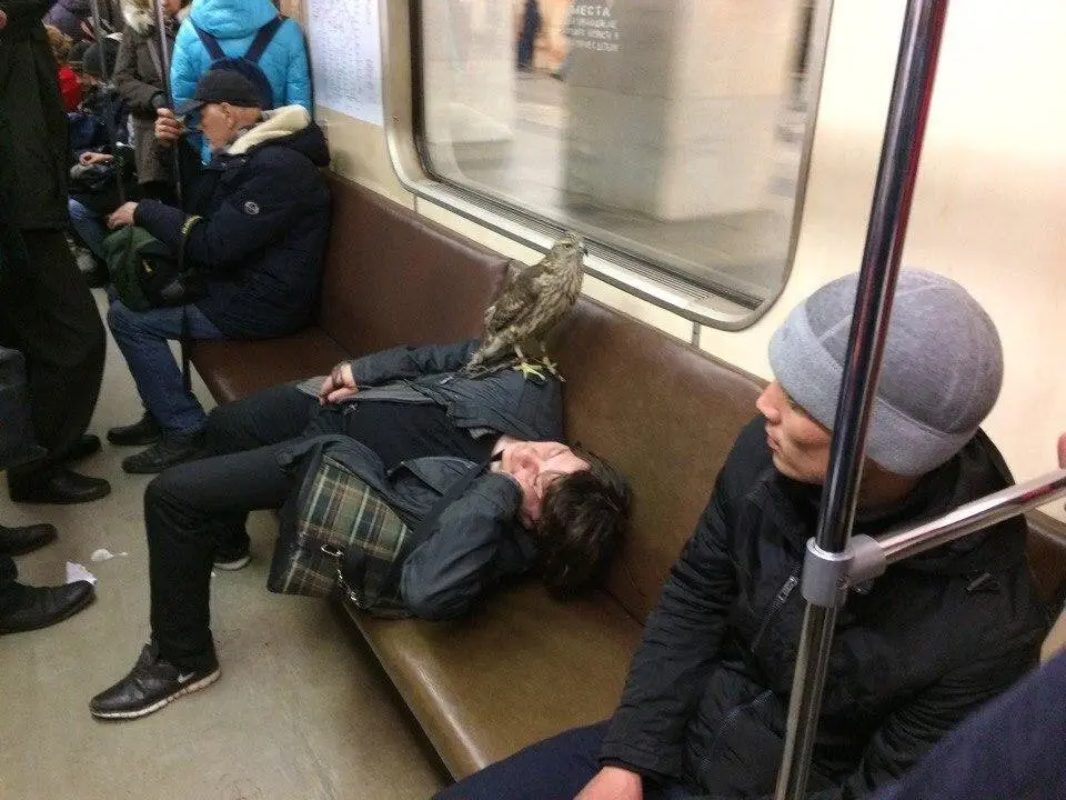 Image credit: Reddit | Orange_Jacket