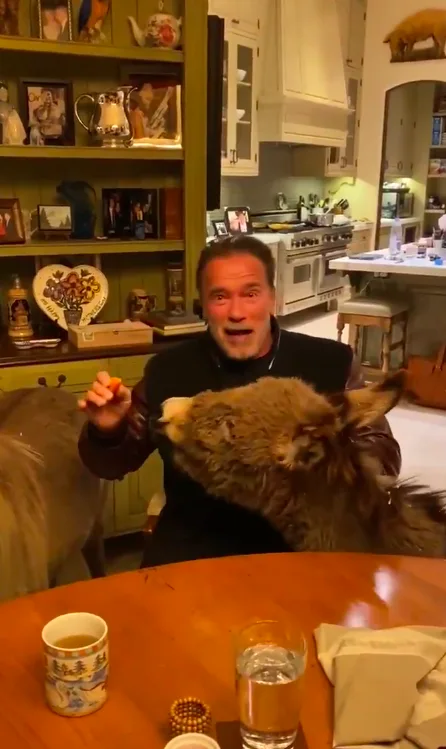 Image credit: Twitter | @Schwarzenegger