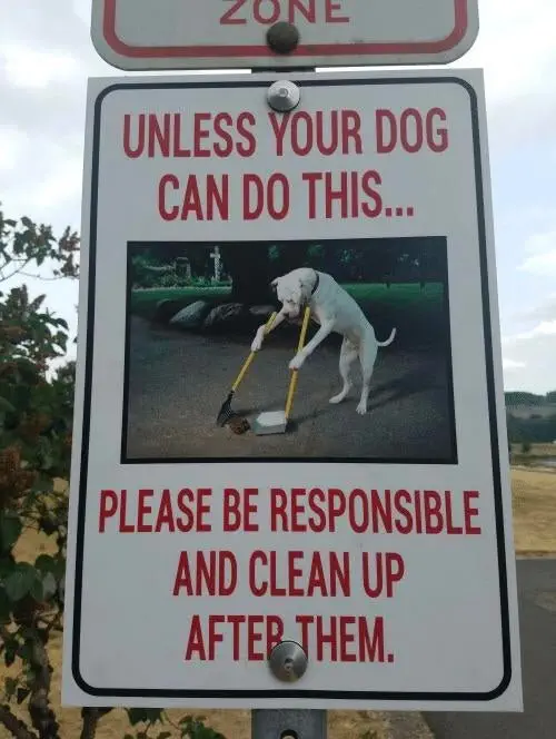Image credit: Reddit