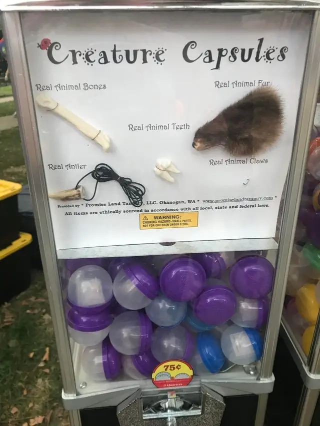 Image credit: Reddit | calalilllie