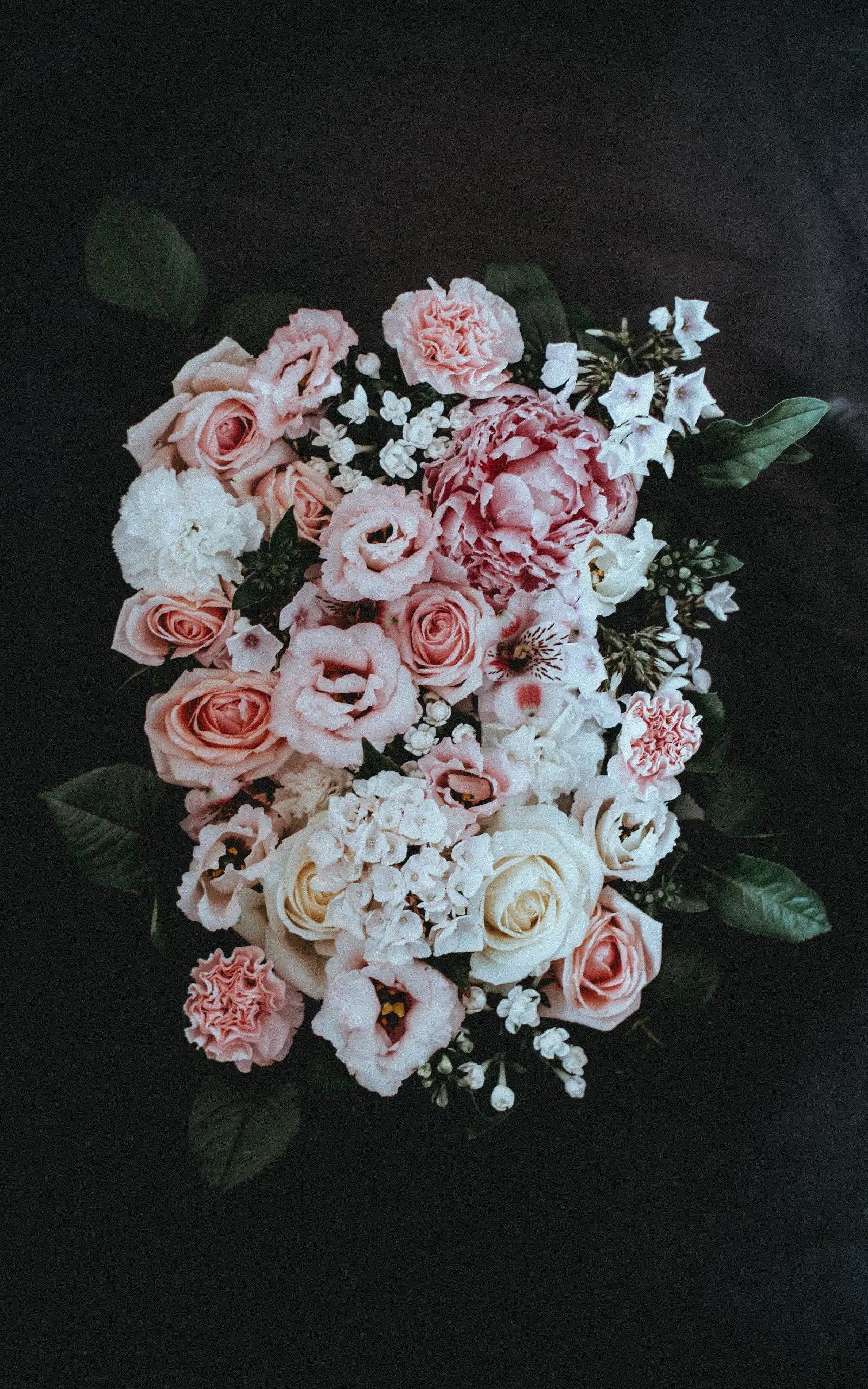 Image credit: Unsplash | Annie Spratt