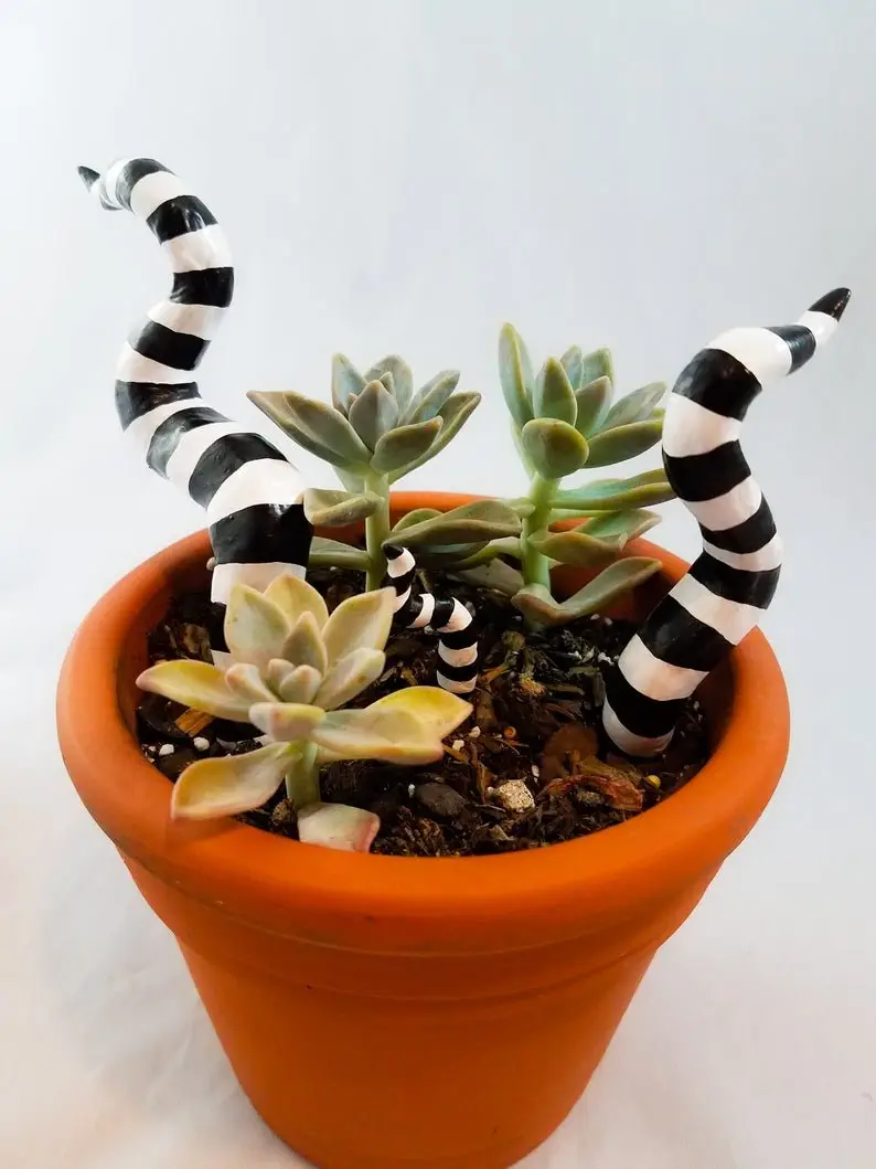 Image credit: Etsy | MyMixedMadness