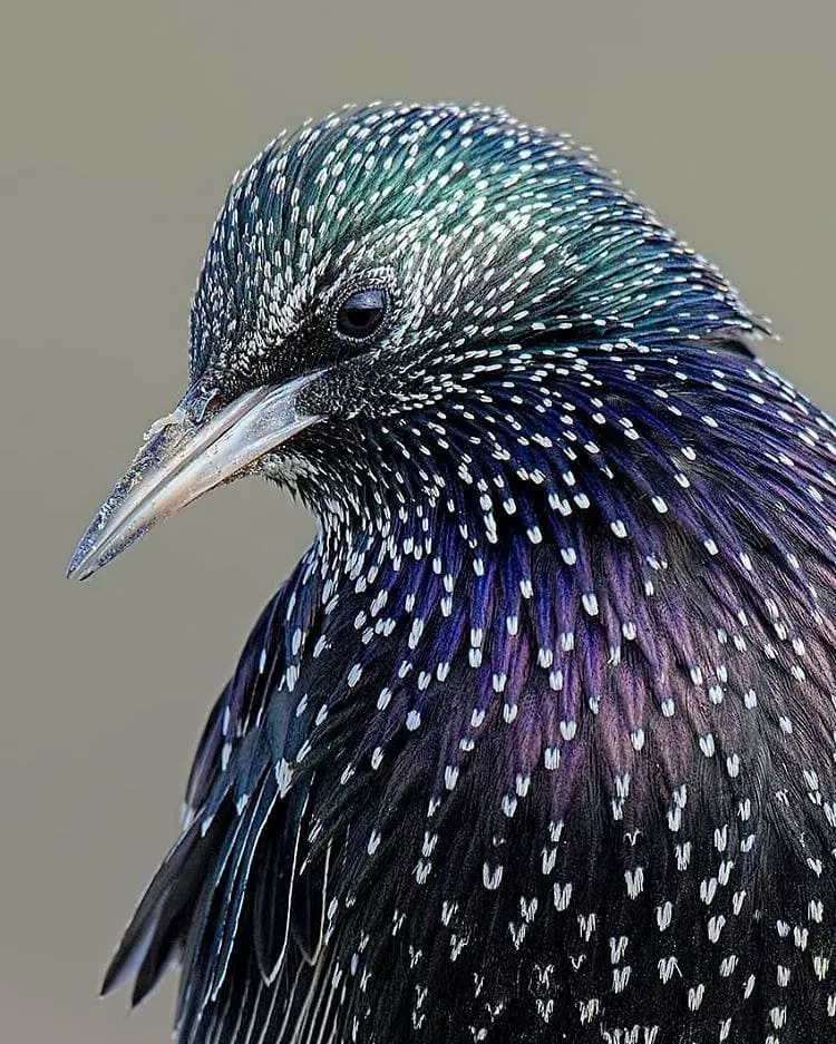 Image credit: Instagram | @mc_wildlife