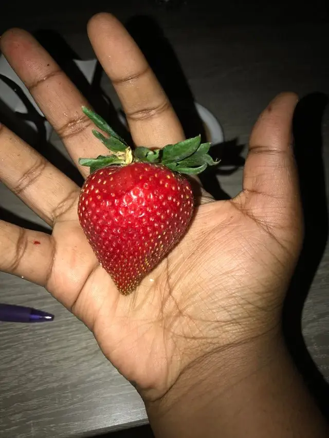 Image credit: Reddit | wingohmandingoh
