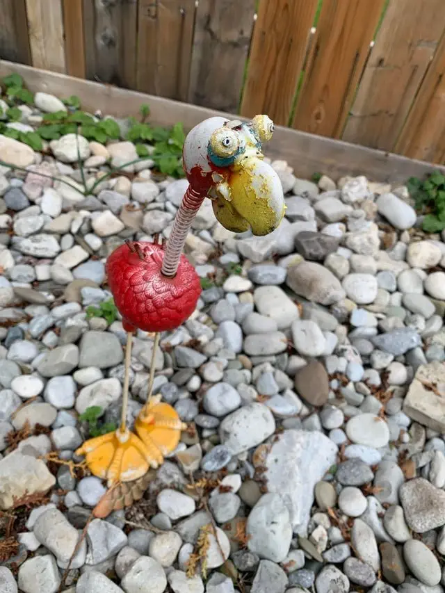 Image credit: Reddit | CrayCrayOwl