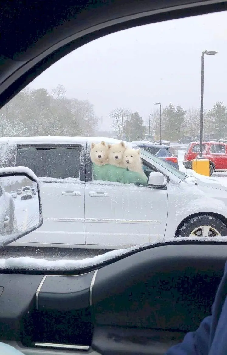 Image credit: Reddit | kingk7