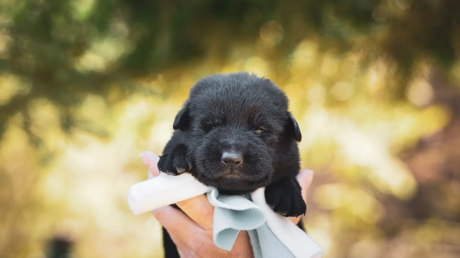 Image credit: Unsplash | Anna Dudkova