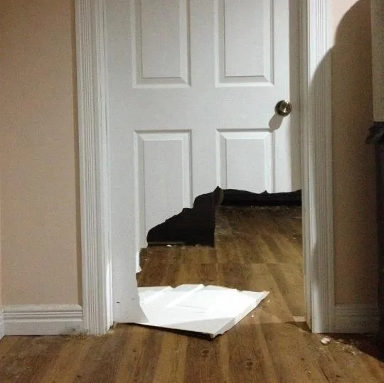Image credit: Reddit