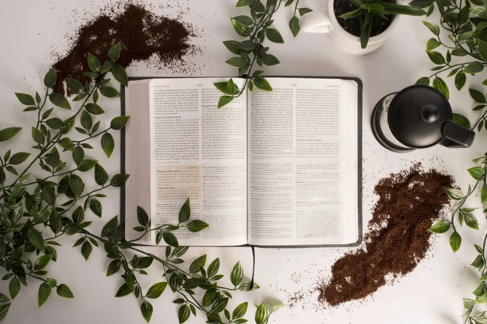 Image credit: Unsplash | Shelby Miller