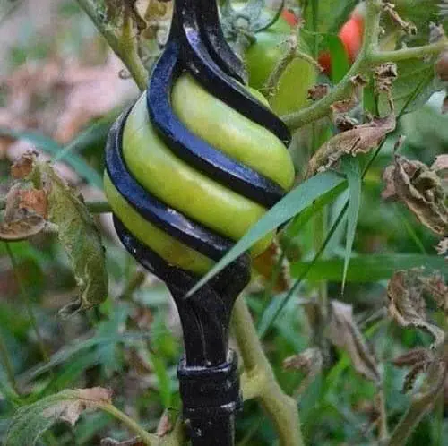 Image credit: Reddit | sanketkhajuria