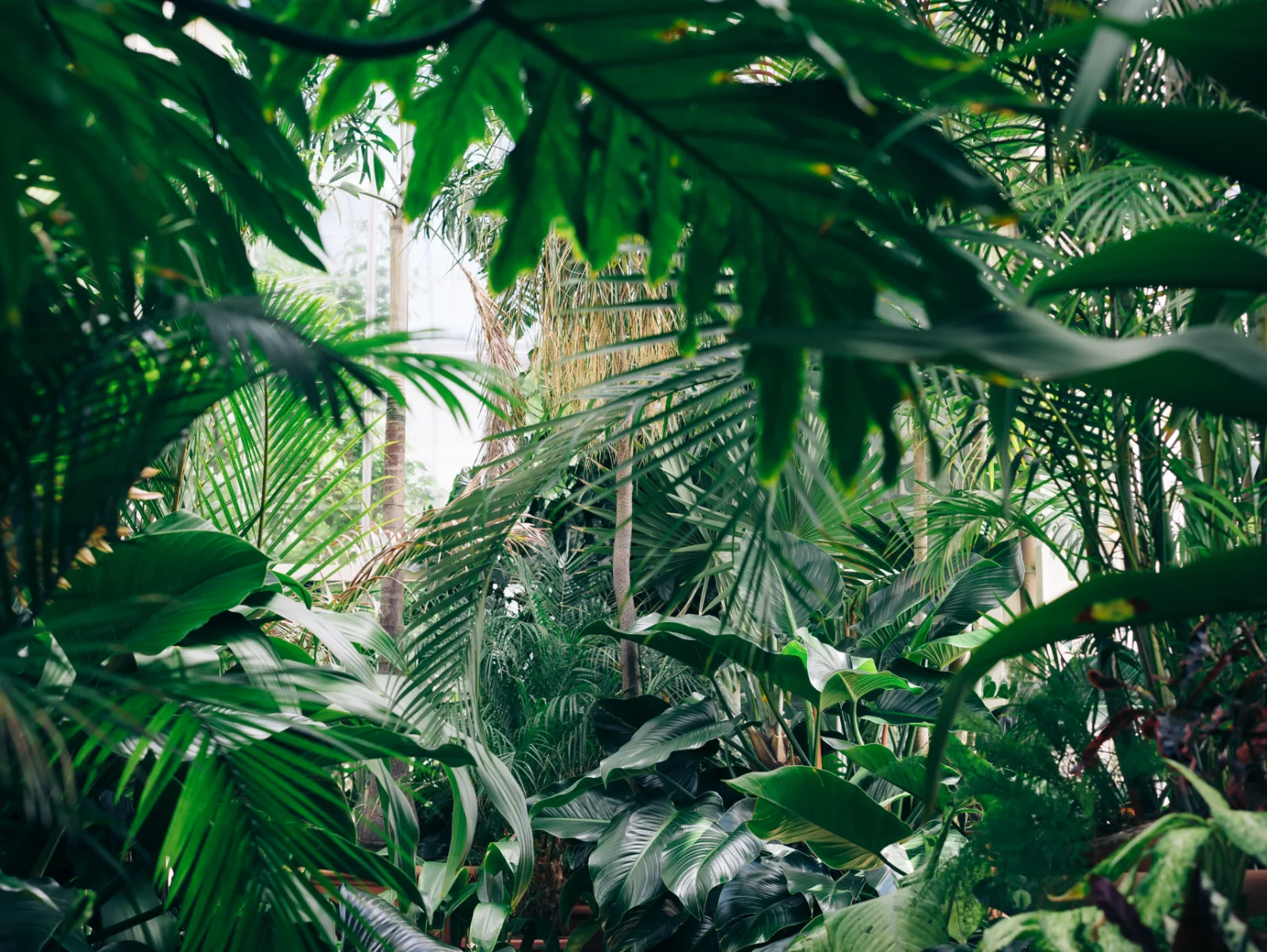 Image credit: Unsplash | Chris Abney