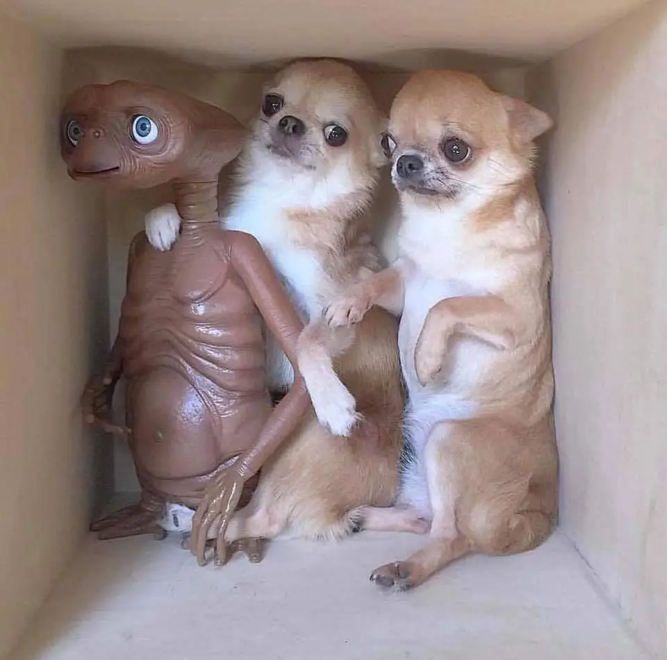Image credit: Reddit | Here-For-The-Comment