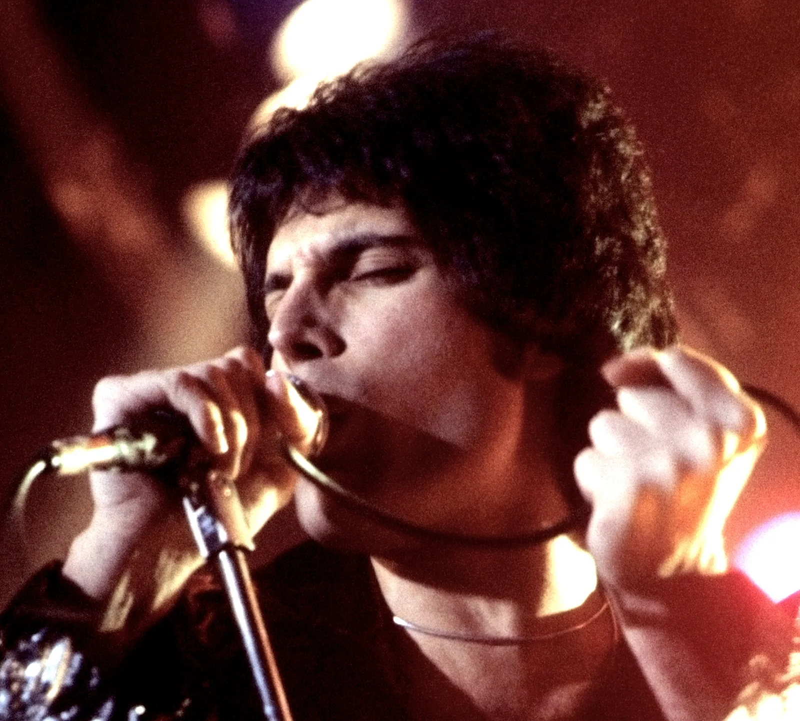 Image credit: https://diplycom5cc47.zapwp.com/q:i/r:0/wp:1/w:1/u:https://commons.wikimedia.org/wiki/File:Freddie_Mercury_performing_in_New_Haven,_CT,_November_1977_cropped.jpg