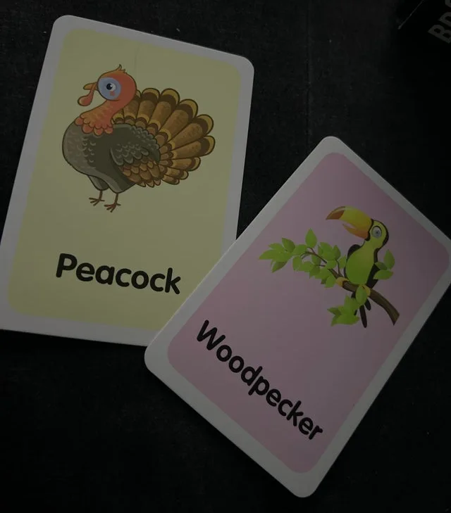 Image credit: Reddit | raspberrypigeon
