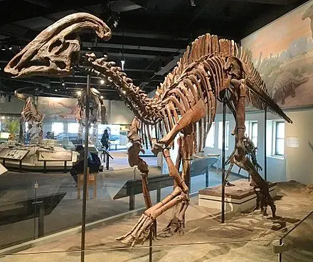 Image credit: Wikipedia