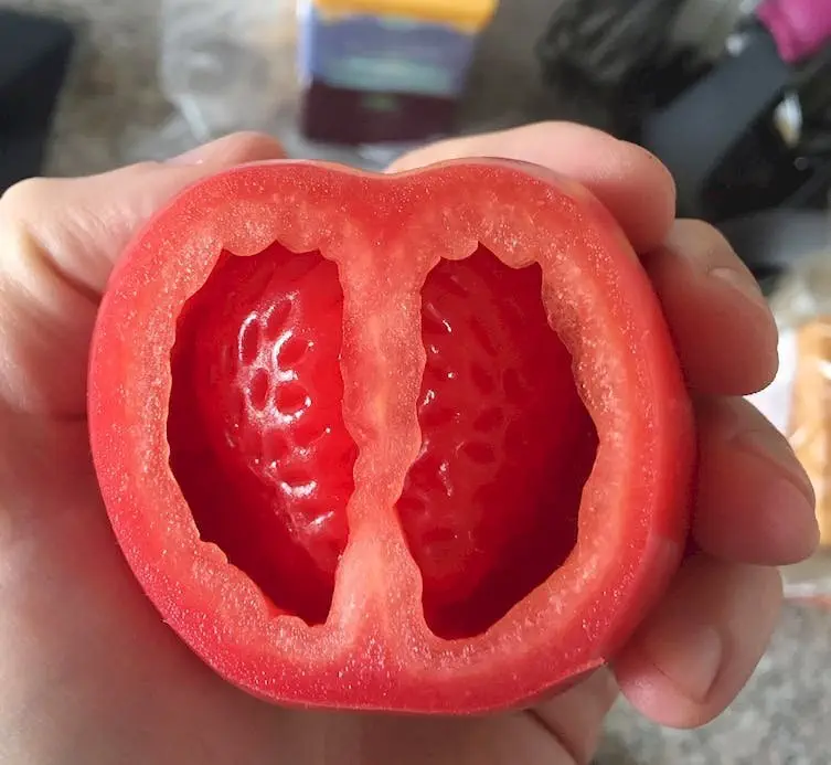 Image credit: Reddit | CroixBeans