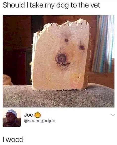 Image credit: Instagram | @memes