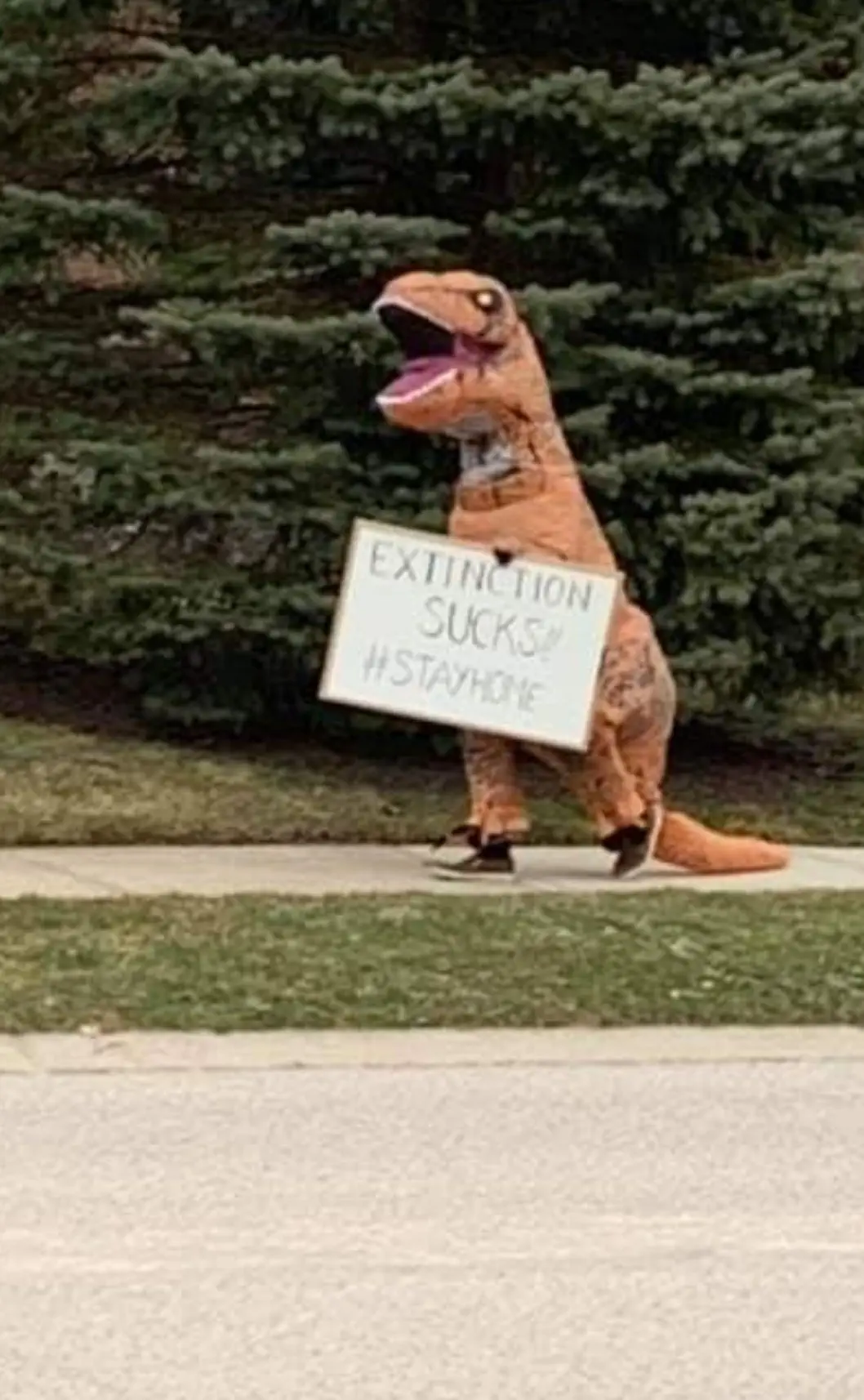 Image credit: Reddit | beespartan
