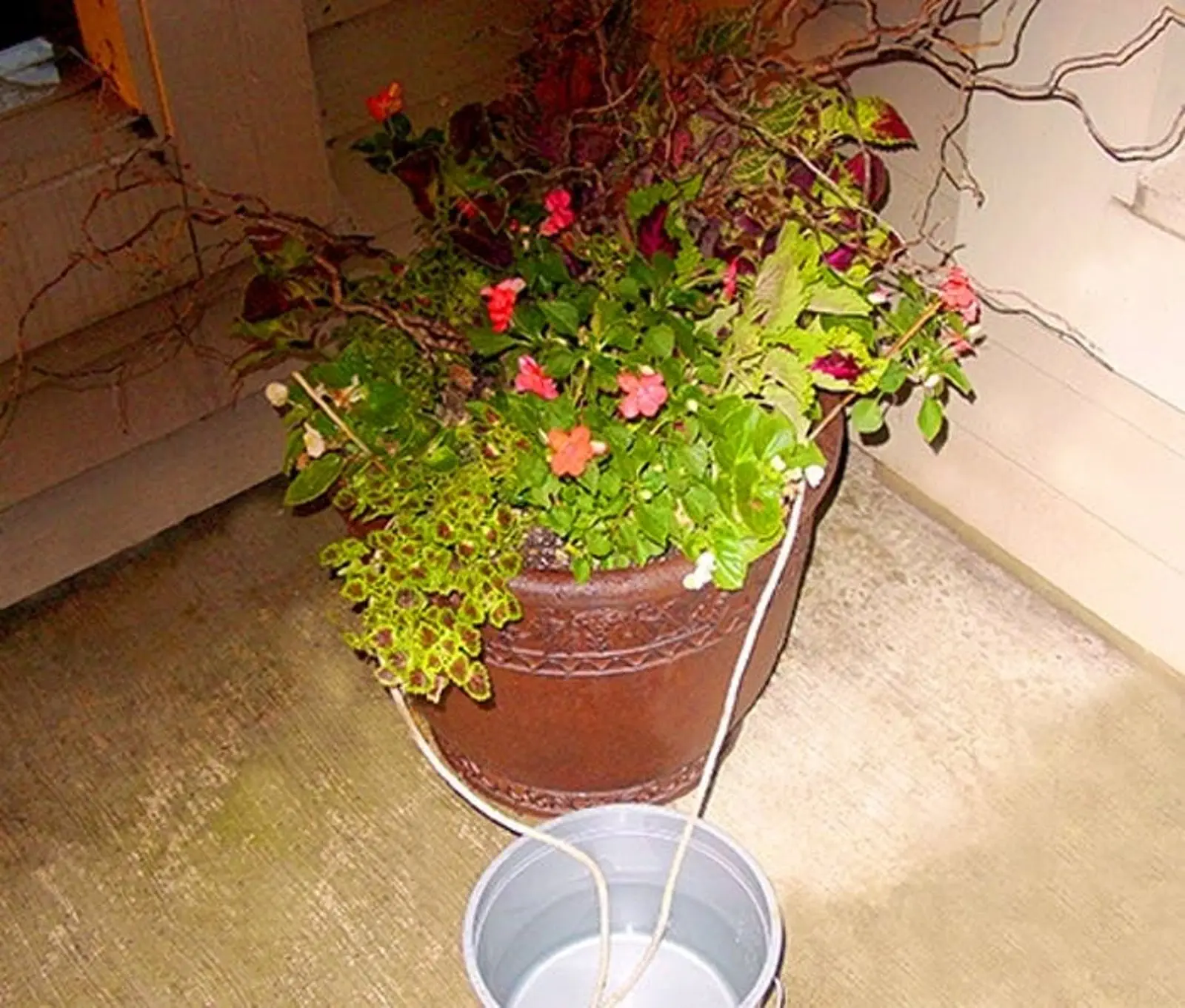 Image credit: Genie In The Garden