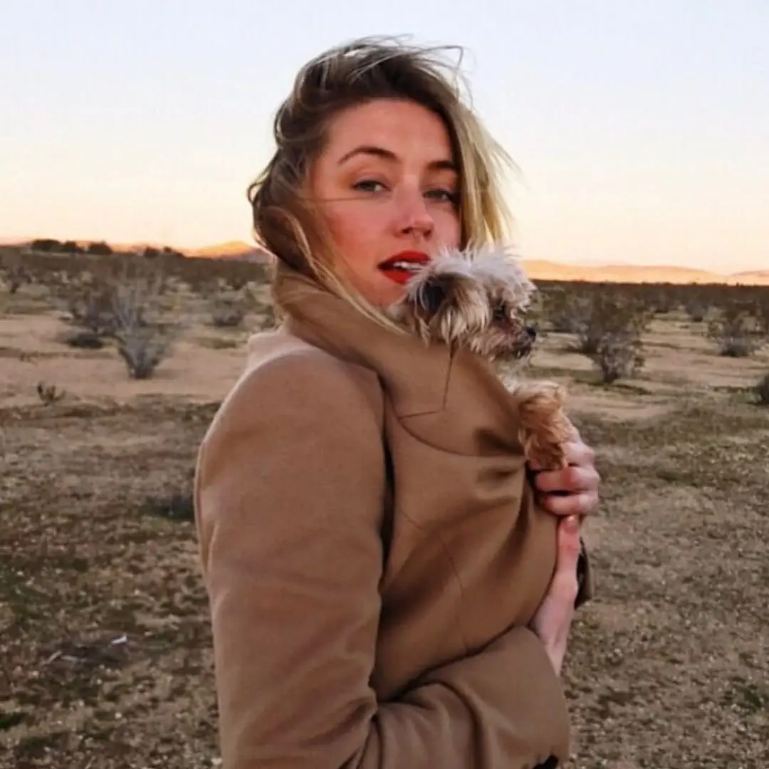 Image credit: Instagram | @amberheard