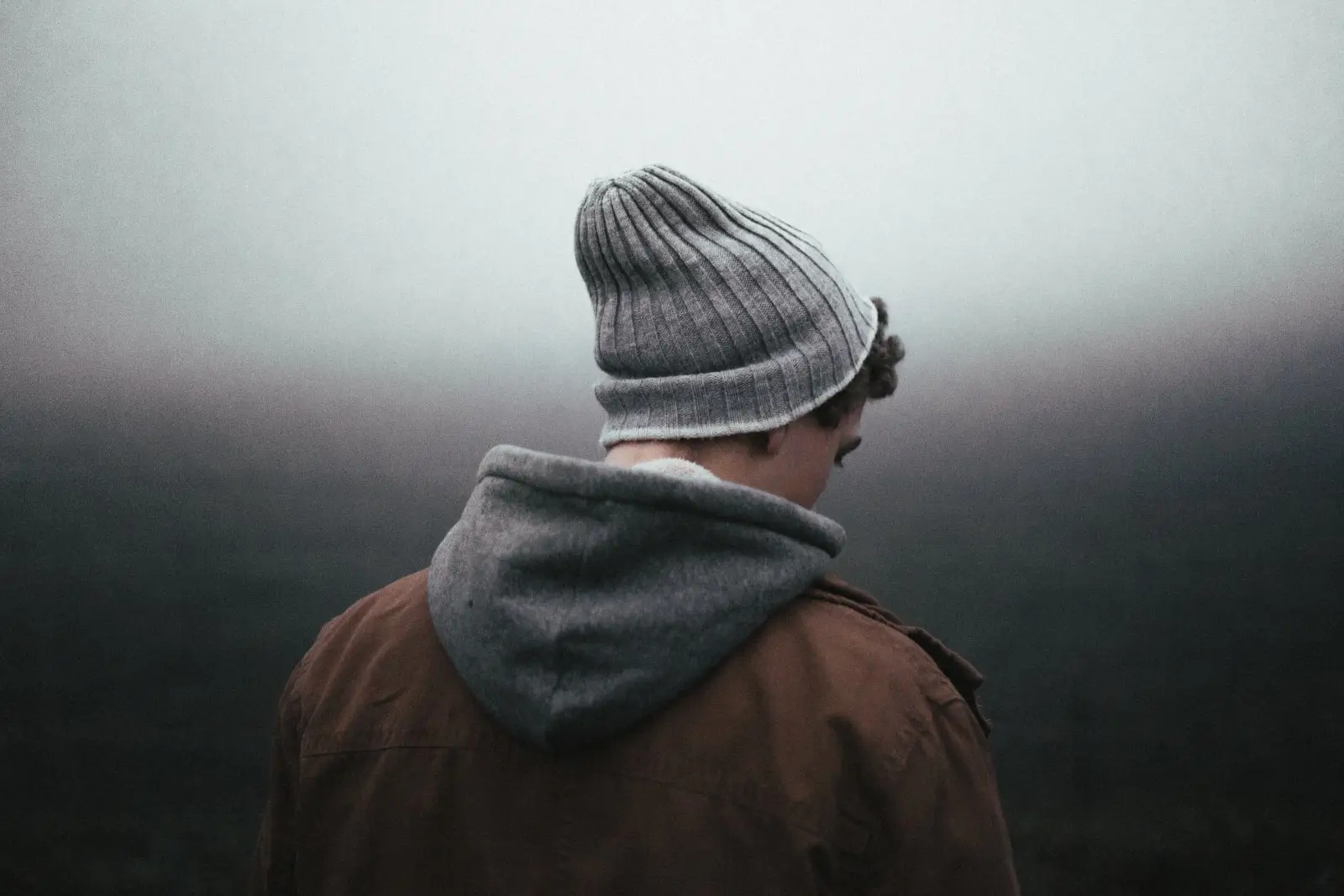Image credit: Unsplash | Andrew Neel
