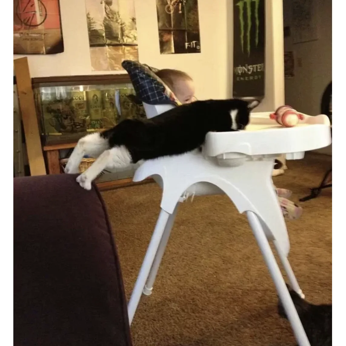 Image credit: Reddit | Kangadrew5