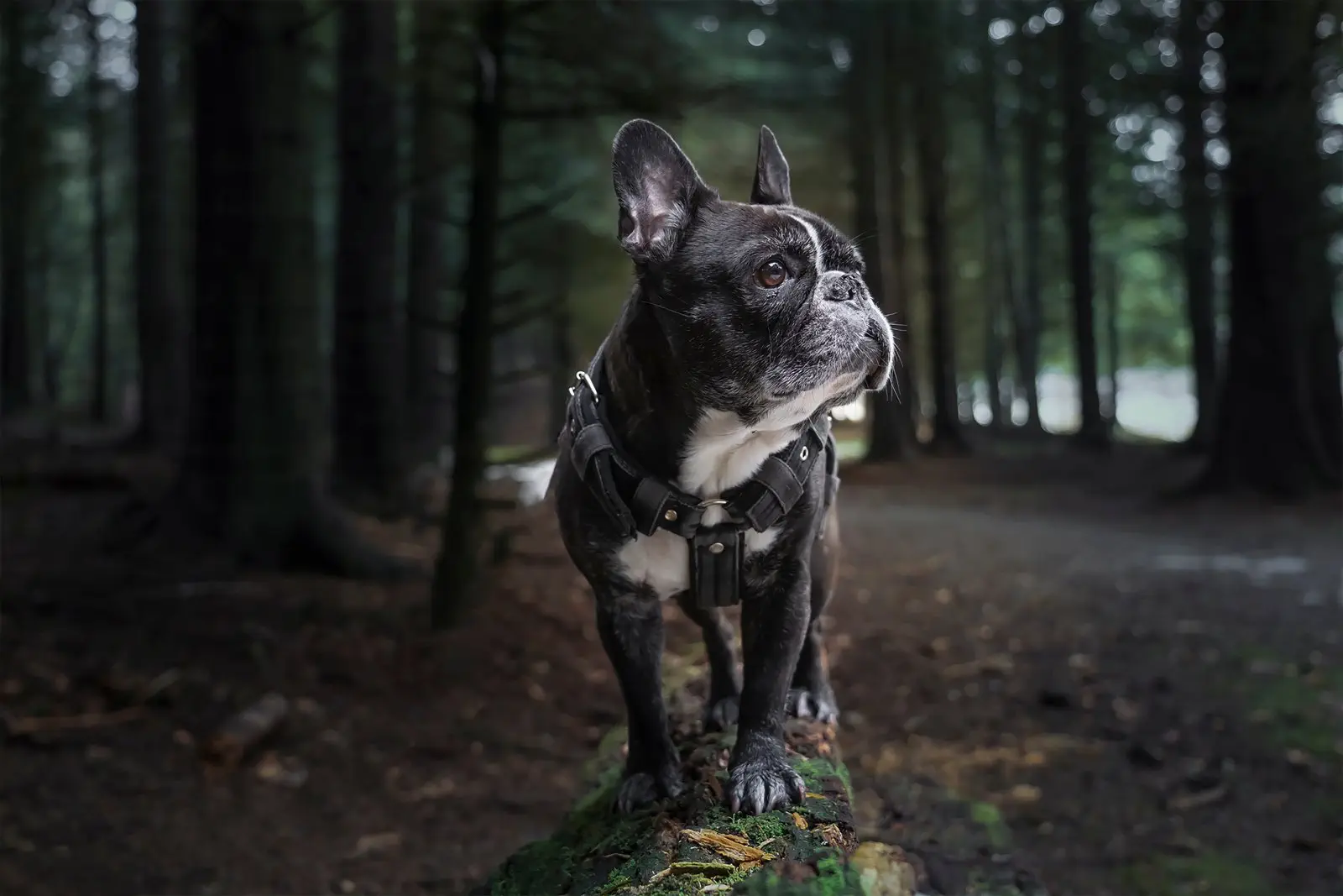 Image credit: Martin Dalsgaard l Unsplash