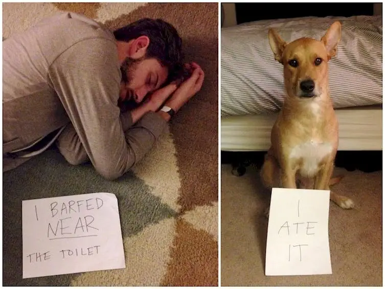Image credit: Imgur | chadneidt