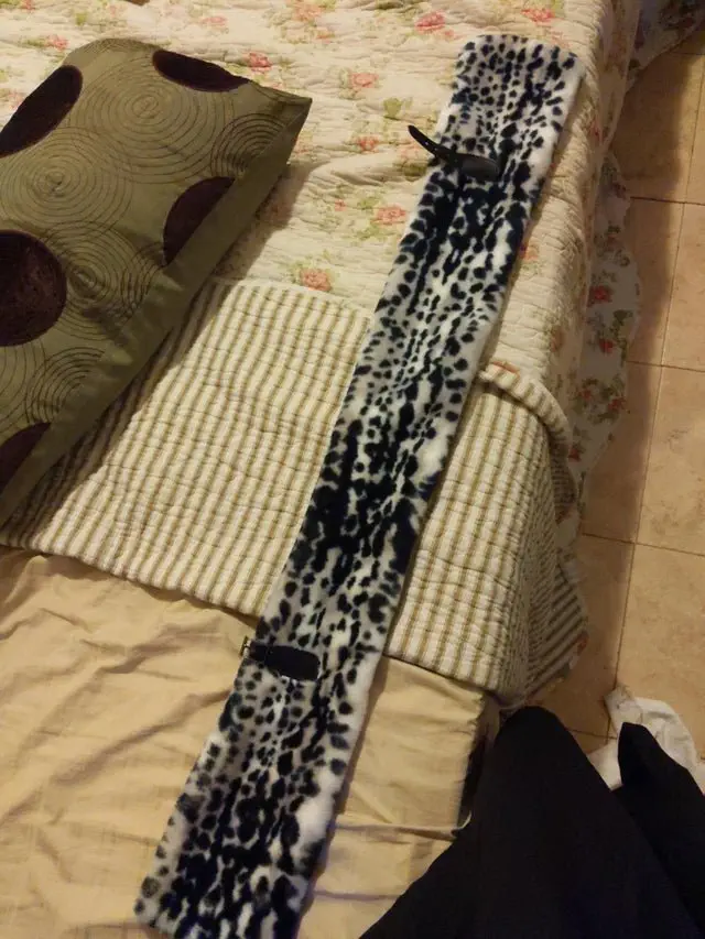 Image credit: Reddit | pitoparai