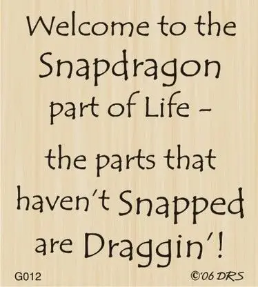 Image credit: Pinterest