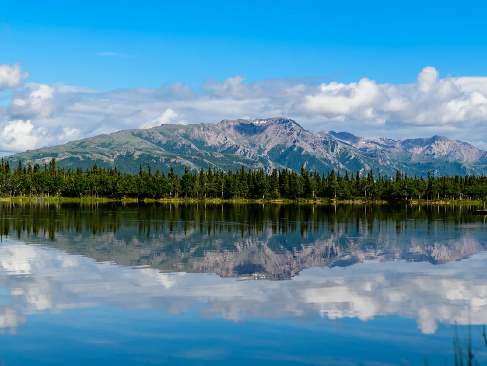 Image credit: Unsplash | Hari Nandakumar