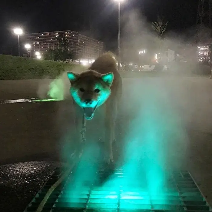 Image credit: Reddit | ShortMarzipan